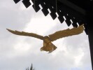 Souvenir shop eagle.  Nice eagle.