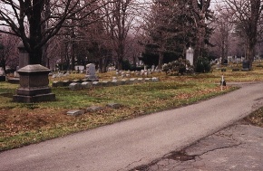 Looking Towards Lady In Glass from Prendergast Ave entrance