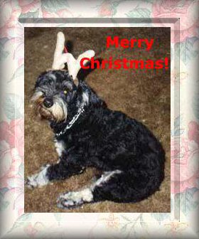 Goofy in Reindeer Ears