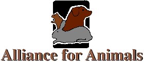AFA