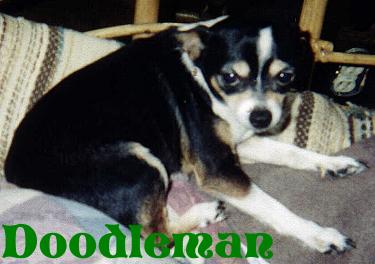 DoodleMan
