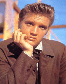 ELVIS