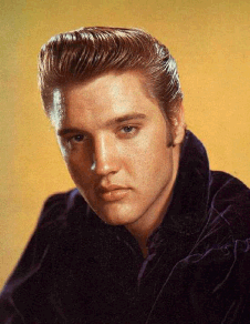 ELVIS