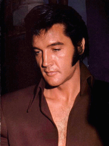 ELVIS