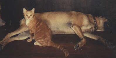 Jonesy and Roscoe