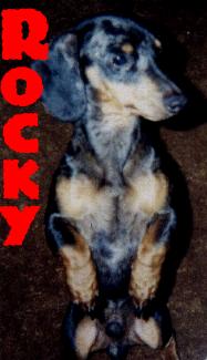 Rocky