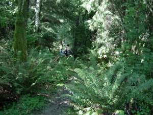 Hiking trail