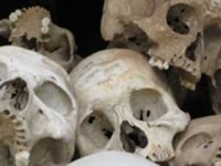 Skulls