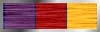 Christopher Pike Medal of Valor
