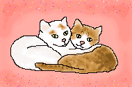 Remember to hug your cat today