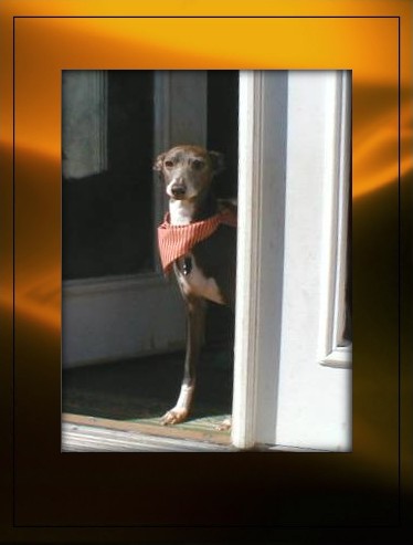 Debating, inside or outside?&nbsp; Hmmmm, let's give it some thought . . .