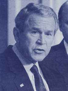 Mr. Bush, Presidente de los EEUU