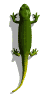 tail_swish_md_wht.gif (4277 bytes)