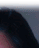 iglesia ni cristo member of the church of christ on mazee interactive web design