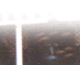 iglesia ni cristo member of the church of christ on mazee interactive web design