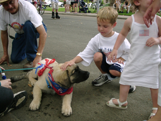 touch the puppy