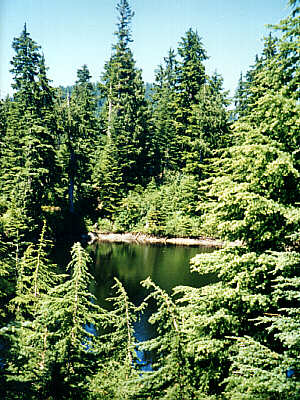 Grouse Mountain, BC