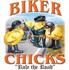 bikerchickrs.jpg (17687 bytes)