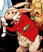 rabbit.jpg (10769 bytes)
