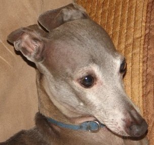 duncan_sm.jpg (22517 bytes)