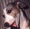 sydbath_sm.gif (9823 bytes)