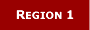 Information about Region 1