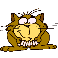catani.gif