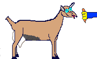 goat_flower_eat_ani.gif