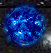 planet019.jpg