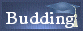 Budding HTML Guru's