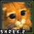 Shrek 2 Fan