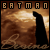Batman Begins Fan