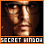 Secret Window Fan