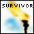 Survivor Fan