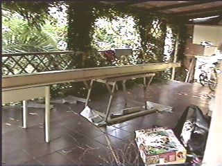 Estate 2001 - Costruzione dell'albero