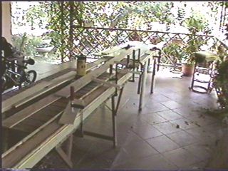 Estate 2001 - Costruzione dell'albero