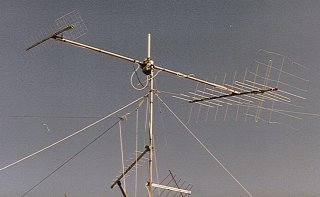 ant-1.jpg (12263 byte)