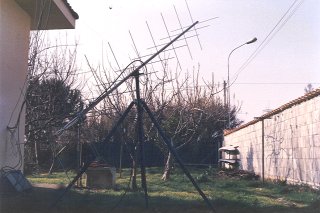 ant-2.jpg (19870 byte)