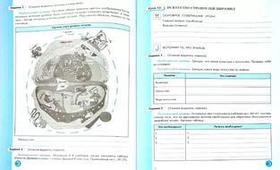 Инструкция по примению дез средств в доу