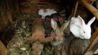 Гта 5 что написано на нло