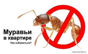 Модульное оригами для начинающих пошаговая инструкция клубника