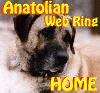Anatolian WebRing Home