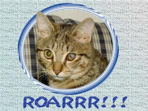 Roar