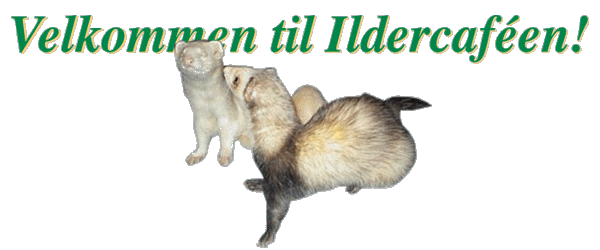 Velkommen til Ildercafeen