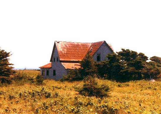 Vestige s&eacute;dentarit&eacute; 198_