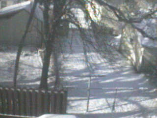 Outside Picture Number One