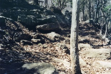 A scene from the Appalachian Trail