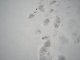 Moorhead #2