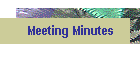 Meeting Minutes
