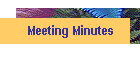 Meeting Minutes
